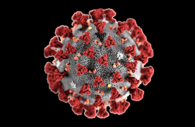 Virus corona gây nguy hiểm cho con người
