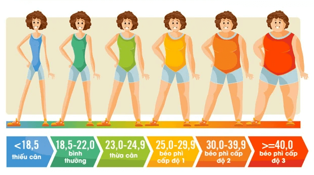 Chỉ số BMI giúp nhận định mức độ béo gầy